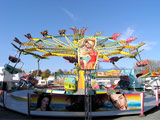 gallerie3/PA300018g_mini.jpg
