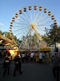 gallerie10/P5010114_mini.jpg