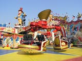 gallerie2/P5280022b_mini.jpg