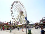 gallerie2/P5280023_mini.jpg