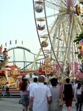 gallerie2/P5280023a1_mini.jpg