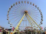 gallerie3/P5280023b_mini.jpg