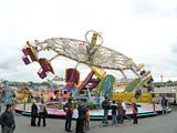 gallerie3/P5050007h_mini.jpg