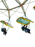 gallerie3/P5050007l_mini.jpg