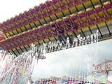 gallerie8/P5050028a_mini.jpg