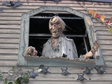 gallerie2/steinhagen0307_012_mini.jpg