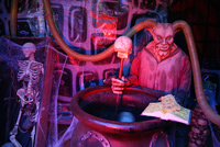gallerie10/nuernberg0412_155_mini.jpg
